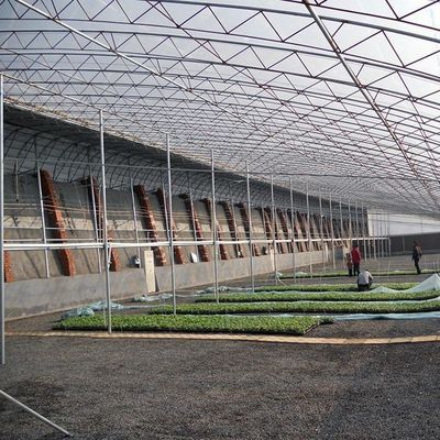 1209.00cm * 235.00cm * 239.00cm Tomate e Pepino Plantando Estufa de Luz Solar para o Seu