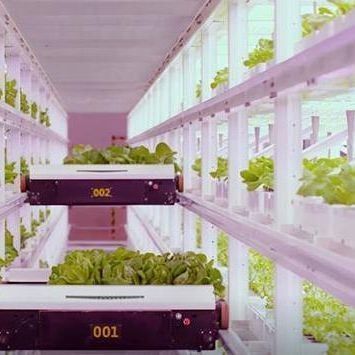 Estufas de contêineres de agricultura vertical com inovação hidropônica em moeda dos EUA