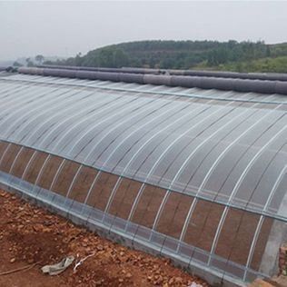 1209cm * 235cm * 239cm Estufa de filme para sombreamento e ventilação da plantação de tomate