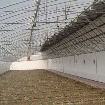 1209cm * 235cm * 239cm Estufa de filme para sombreamento e ventilação da plantação de tomate