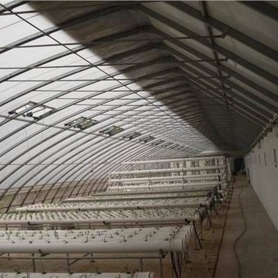 1209cm * 235cm * 239cm Estufa de filme para sombreamento e ventilação da plantação de tomate
