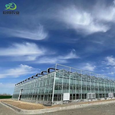 Aperfeiçoamento de estufas de vidro tipo Venlo com sistema de sombreamento externo