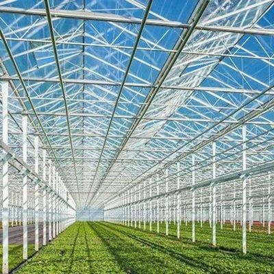 Aperfeiçoamento de estufas de vidro tipo Venlo com sistema de sombreamento externo