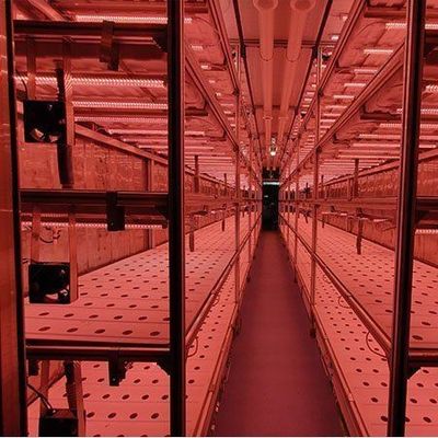 Alimentação vertical de alta umidade Estufas hidropónicas para vegetais