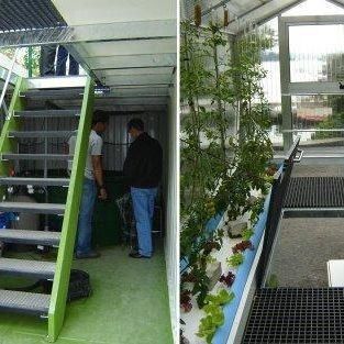 Alimentação vertical de alta umidade Estufas hidropónicas para vegetais