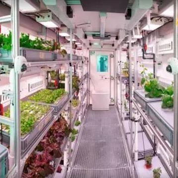 Estufas em recipientes de várias faixas para sistemas hidropónicos e vantagens da agricultura vertical