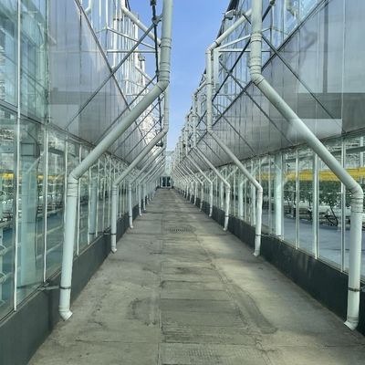 Hortaliças e flores de jardim Estufas de vidro com telhado arqueado e sistema hidropônico