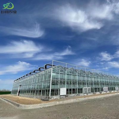 Hortaliças e flores de jardim Estufas de vidro com telhado arqueado e sistema hidropônico