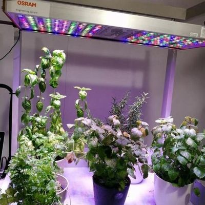 Container de navegação Agricultura vertical Estufas comerciais com inovação hidropônica