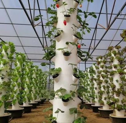 Container de agricultura vertical Estufas em 40HQ Reefer com recipiente hidropónico