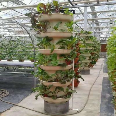 Container de agricultura vertical Estufas em 40HQ Reefer com recipiente hidropónico