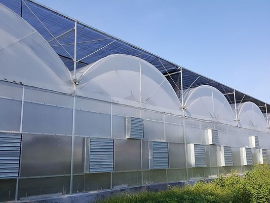 Estufas hidropônicas cobertas com folhas de plástico e design de uma única faixa