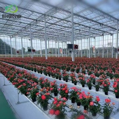Customização Juxiang Greenhouse's Customizable Commercial Film and Glass Greenhouse