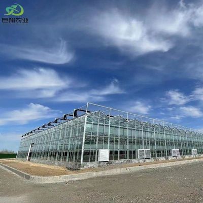Customização Juxiang Greenhouse's Customizable Commercial Film and Glass Greenhouse