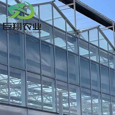 Customização Juxiang Greenhouse's Customizable Commercial Film and Glass Greenhouse