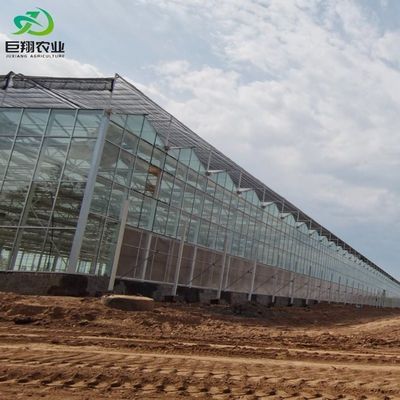 Customização Juxiang Greenhouse's Customizable Commercial Film and Glass Greenhouse