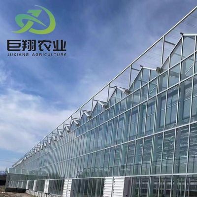 Customização Juxiang Greenhouse's Customizable Commercial Film and Glass Greenhouse