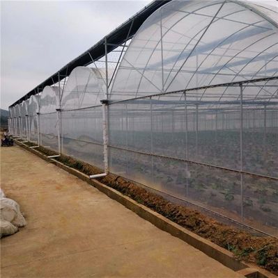 Sistema hidropónico de múltiplos períodos para aquecimento de cinzas agrícolas