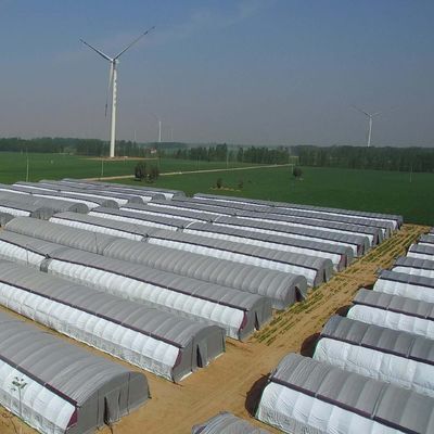 Sistema hidropónico de múltiplos períodos para aquecimento de cinzas agrícolas