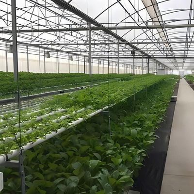 Sistema hidropónico de múltiplos períodos para aquecimento de cinzas agrícolas