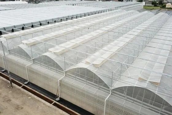 Origem Estufas hidropónicas de arco duplo JX-FG-001 com e 1 metro quadrado Min.Order