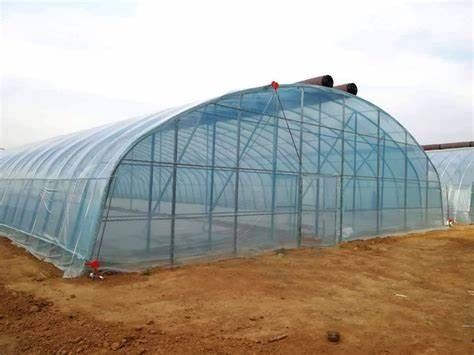 Aquecimento temporário em estufas de tomate, pepino e pimenta