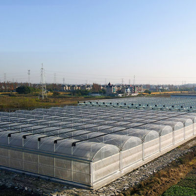 Estrutura de aço Sistema de estufa hidropônica multi-espaço para agricultura sustentável