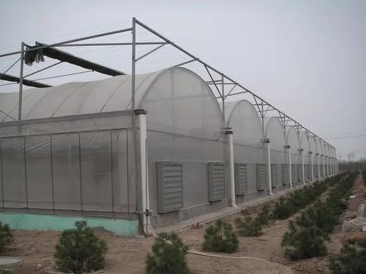 Estrutura de aço Sistema de estufa hidropônica multi-espaço para agricultura sustentável