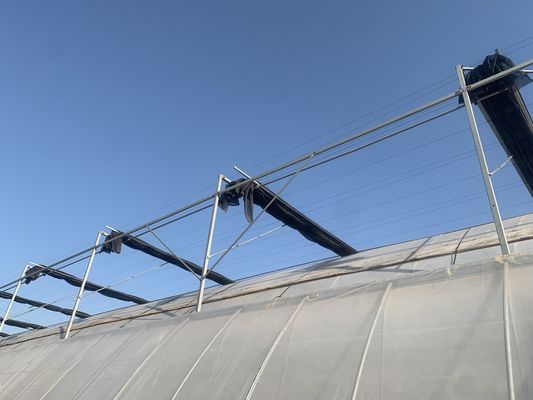 Sistema de estufa de panela única dos EUA para o cultivo de vegetais e flores 30 dias reembolso