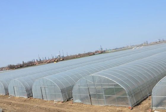 Sistema de estufa de panela única dos EUA para o cultivo de vegetais e flores 30 dias reembolso