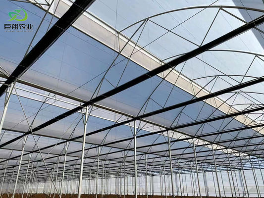 Sistema de estufa de panela única dos EUA para o cultivo de vegetais e flores 30 dias reembolso