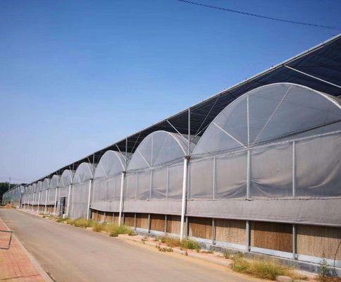 Sistema hidropónico de estufa multi-span para produção e experimentação comercial