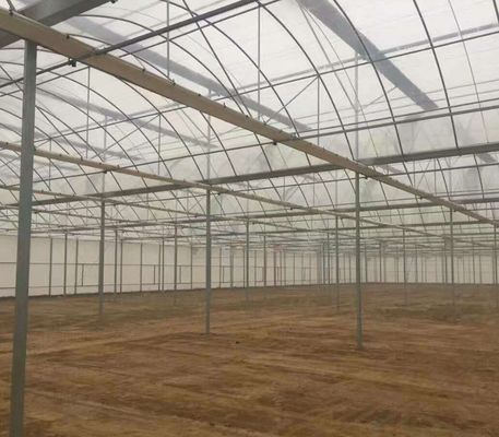 Sistema hidropónico de estufa multi-span para produção e experimentação comercial
