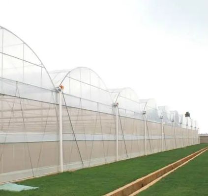 Sistema hidropónico de estufa multi-span para produção e experimentação comercial