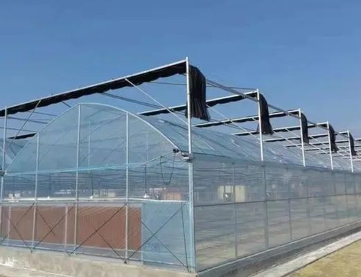 Sistema hidropónico de estufa multi-span para produção e experimentação comercial