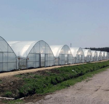 Sistema hidropónico de estufa multi-span para produção e experimentação comercial