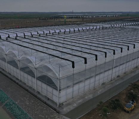 Cultivo de Sementes Juxiang Fama Hidropônica Filtro Estufa com solicitação personalizada