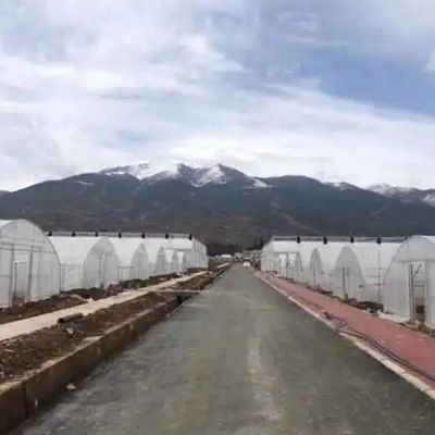 Tubos de aço galvanizados a quente Filme agrícola Hidropónica Estufas Material de construção