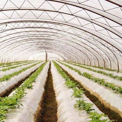Sistema hidropônico personalizável para vegetais e flores adaptado às suas necessidades