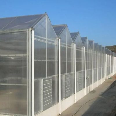 Sistema hidropônico personalizável para vegetais e flores adaptado às suas necessidades