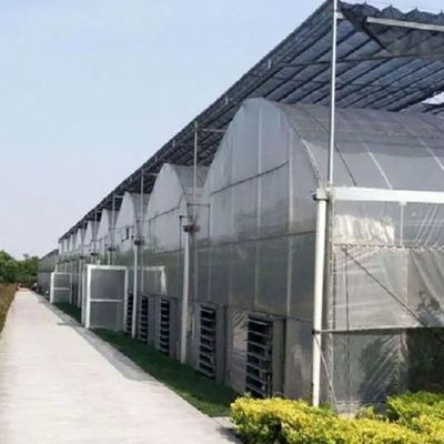 Sistema hidropônico personalizável para vegetais e flores adaptado às suas necessidades