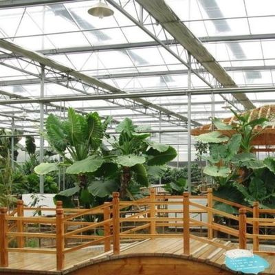 Juxiang folha PC Board Greenhouse para sistemas de cultivo hidropônico morango personalizado