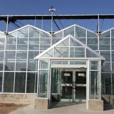 Juxiang folha PC Board Greenhouse para sistemas de cultivo hidropônico morango personalizado