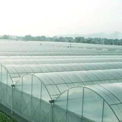Juxiang Multi-Span Humidity Control Greenhouse for Peppers Film Departamento de Estufas