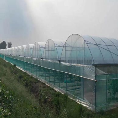 Sistema hidropónico de panela única de moeda dos EUA para o desempenho da produção de vegetais em estufa