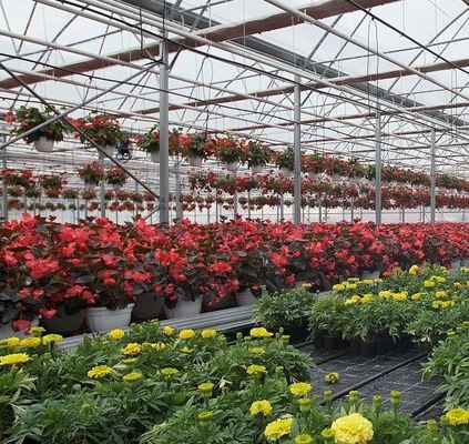 Sistema hidropónico de panela única de moeda dos EUA para o desempenho da produção de vegetais em estufa