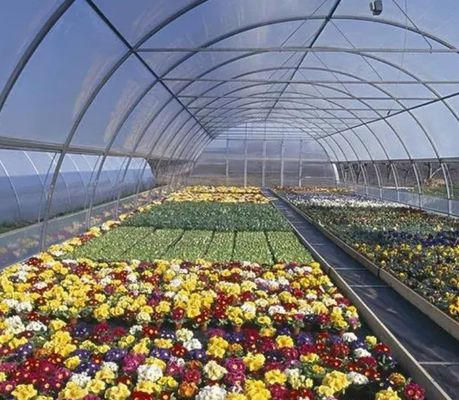 Sistema hidropónico de panela única de moeda dos EUA para o desempenho da produção de vegetais em estufa