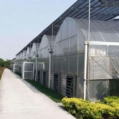 Sistema hidropónico Juxiang de várias faixas, estufa de humidade para flores Restituições