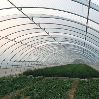 Sistema hidropónico Juxiang de várias faixas, estufa de humidade para flores Restituições