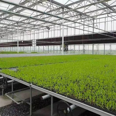 Aquecimento de água quente Estufas de vidro para controle de estroma da hidroponia